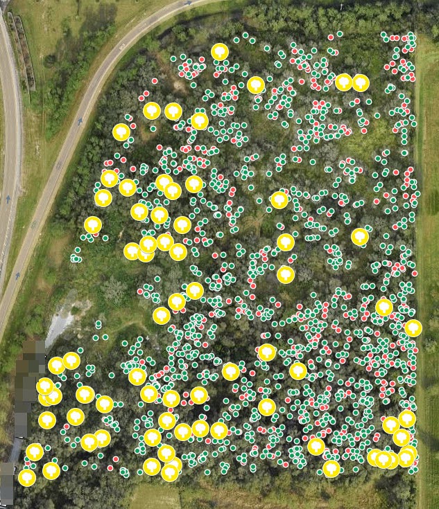 Project 2 site map example