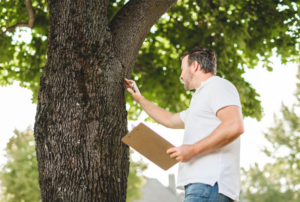 Man in a white polo examines a tree, holding a clipboard and touching the trunk in a park setting.