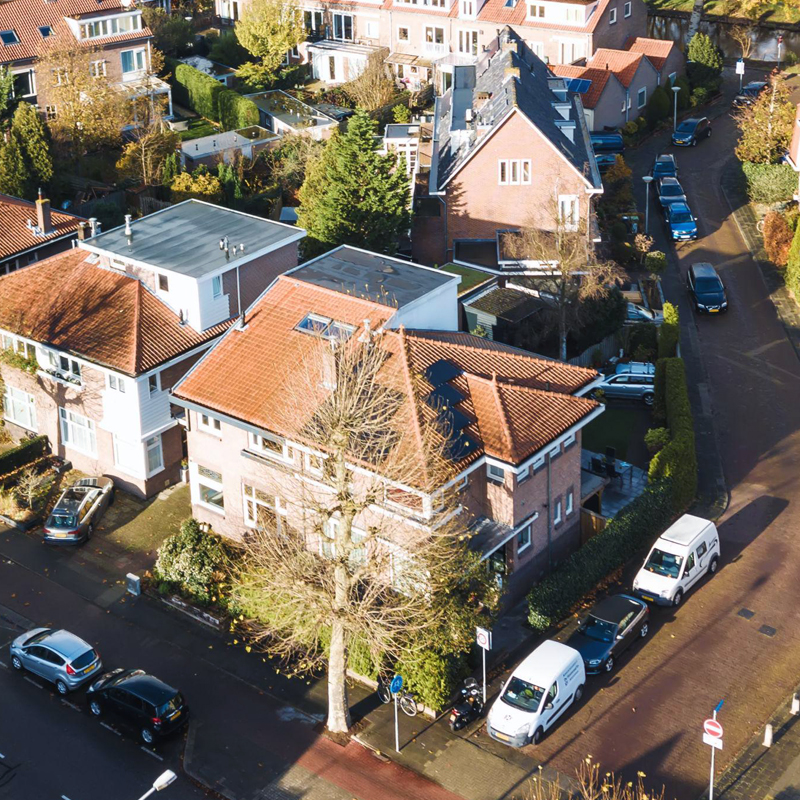 tree checkup what they see. homes