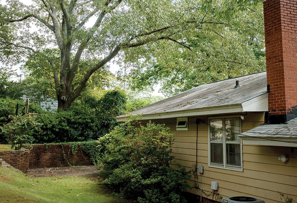 key tree warning signs to look for during a walkthrough