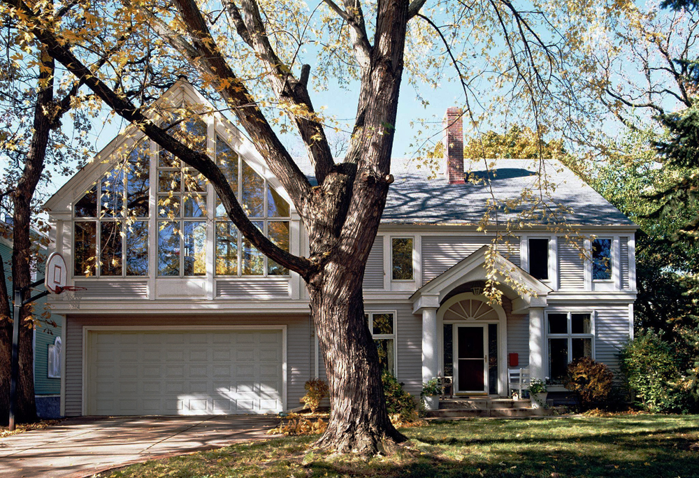 Before you buy - tree inspection for home buyers