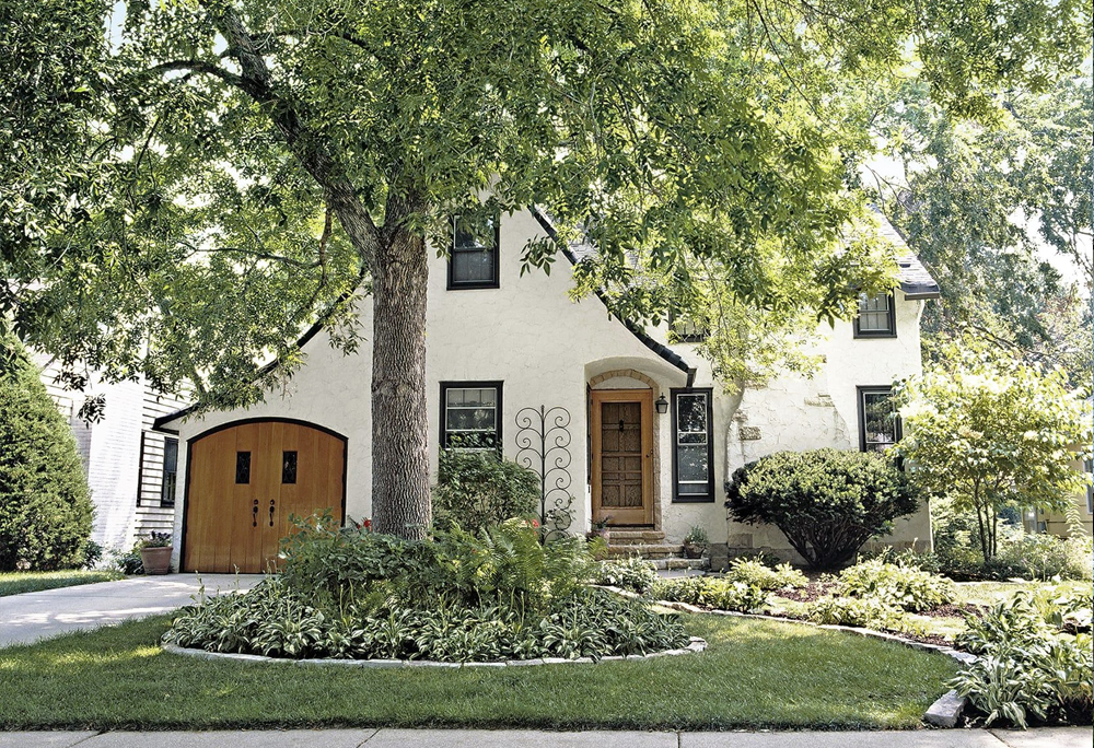 Should You Get a Tree Inspection Before Buying a Home?
